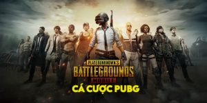 cá cược PUBG
