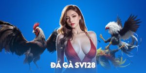 Đá gà SV128