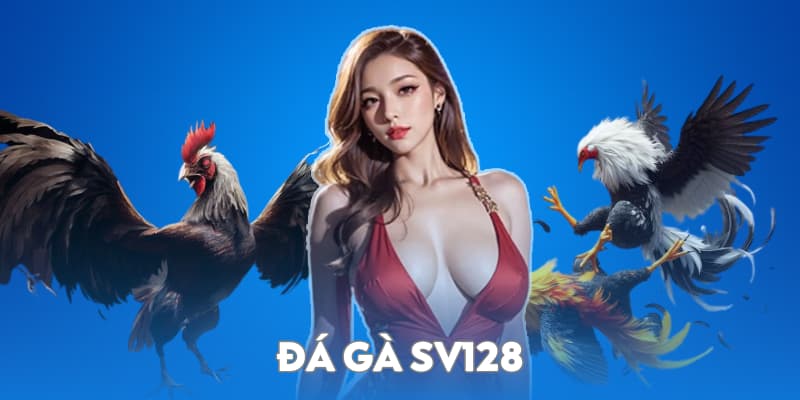 Đá gà SV128