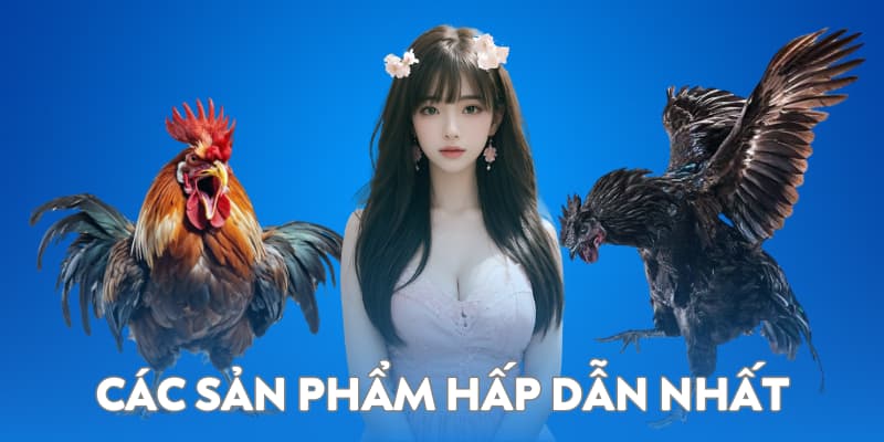 Danh sách sản phẩm hấp dẫn