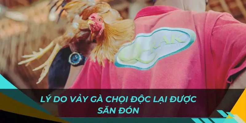 Tổng quan lý do khiến người chơi luôn săn đón