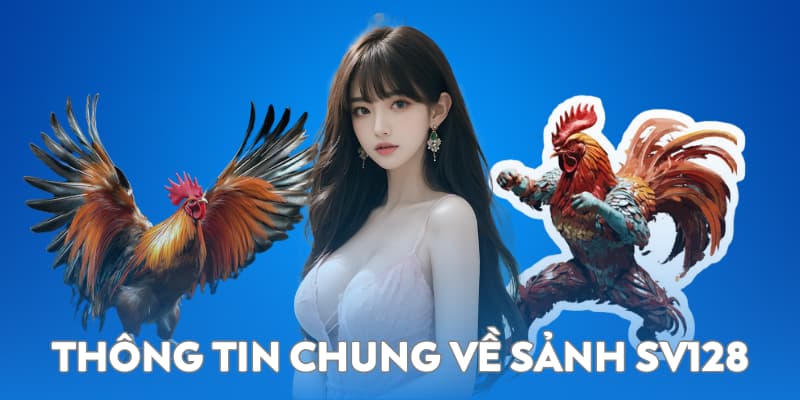 Thông tin chung về sảnh đá gà SV128 đẳng cấp